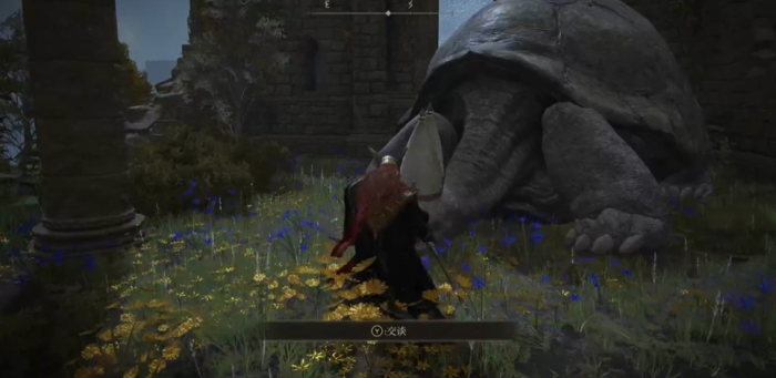 艾尔登法环乌龟老师在哪2