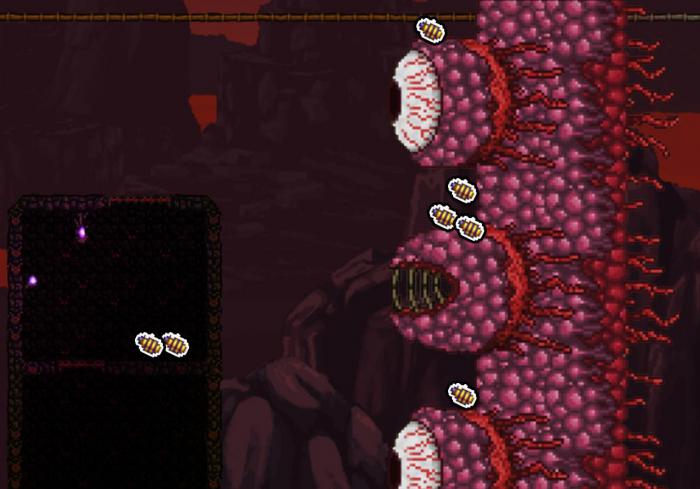 泰拉瑞亚肉前阶段的boss都怎么召唤1