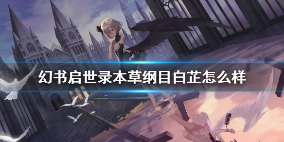 《幻书启世录》人气角色白芷介绍1