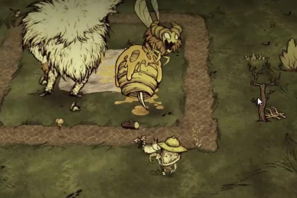 饥荒蜂后BOSS的打法分享1