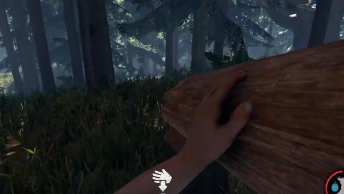 森林最适合建造庇护所的位置在哪2