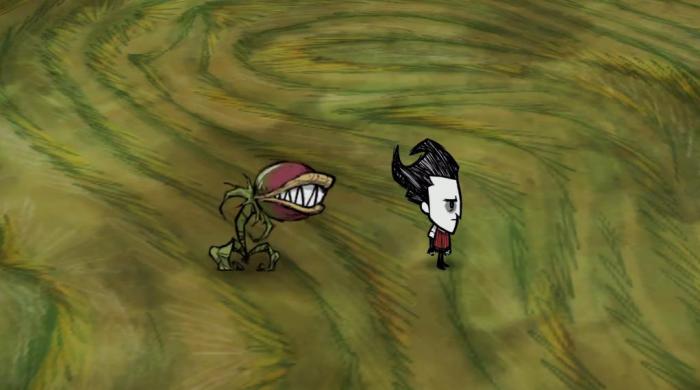 饥荒捕蝇草根有什么用1