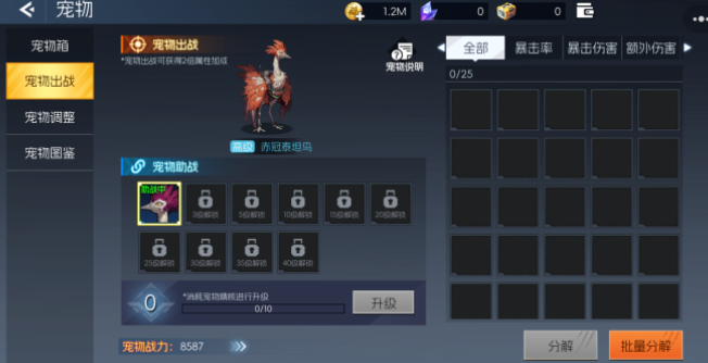 街机恐龙宠物全解析2