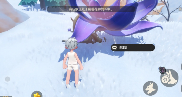 洛克王国世界新手开局攻略3