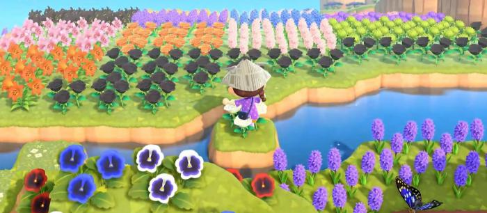 星布谷地物语新手必看1