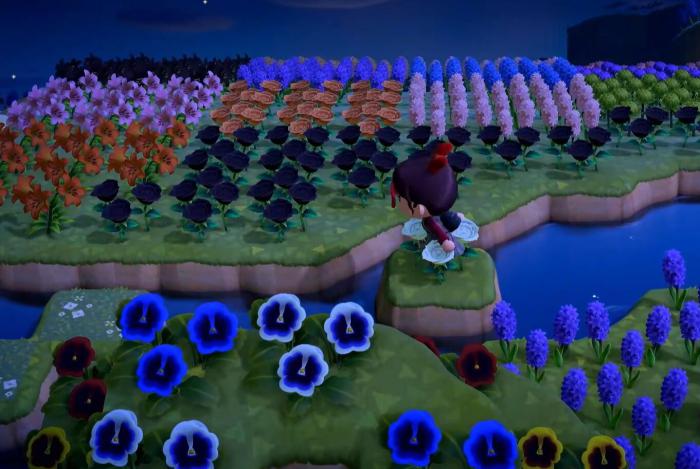 星布谷地内测时间曝光3