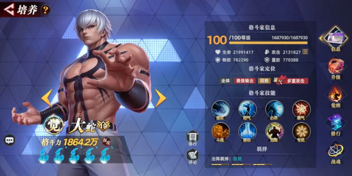 全明星觉醒强攻伙伴有哪些6