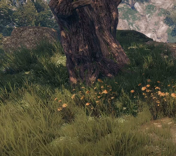 下一站江湖2松木获取全攻略3