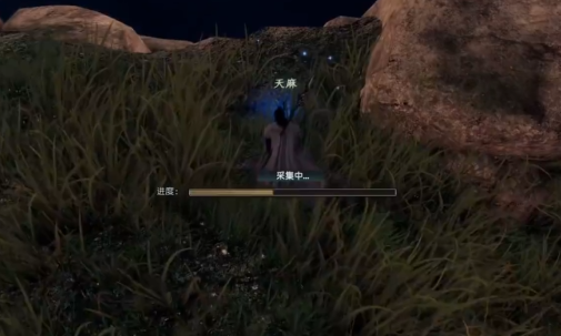 下一站江湖2天麻位置在哪1