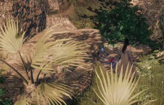 下一站江湖2白霜茗角色背景揭秘3