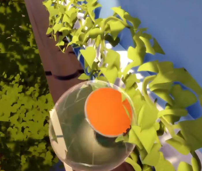 小鱼儿金鱼攻略4