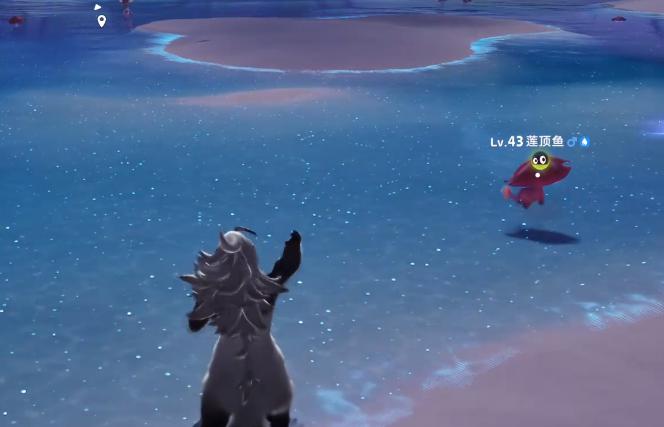 伊莫潮花岸宠物介绍1