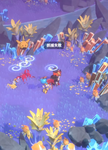 曙光重临红宠位置4