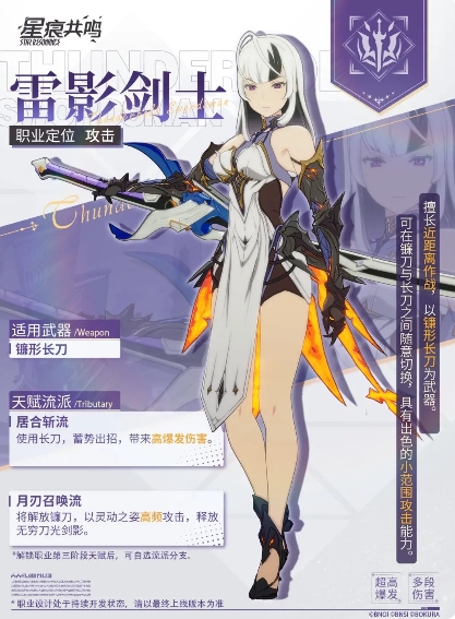 星痕共鸣职业技能有哪些2