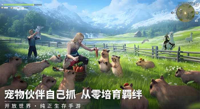 荒原曙光食物怎么做1