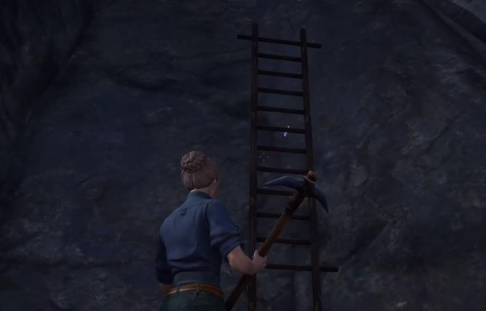 荒原曙光食物怎么做2