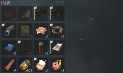 失控进化新手建家攻略4