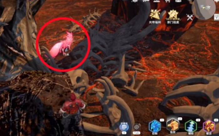 斗罗大陆猎魂世界天狐怎么样3