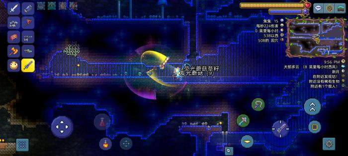 泰拉瑞亚邪恶蘑菇在哪2