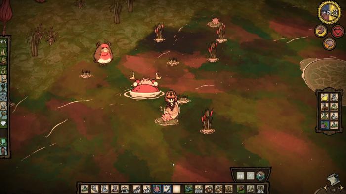 饥荒联机版池塘包含哪些机制2