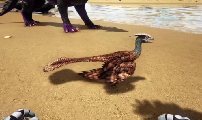 方舟生存进化小盗龙怎么驯服2