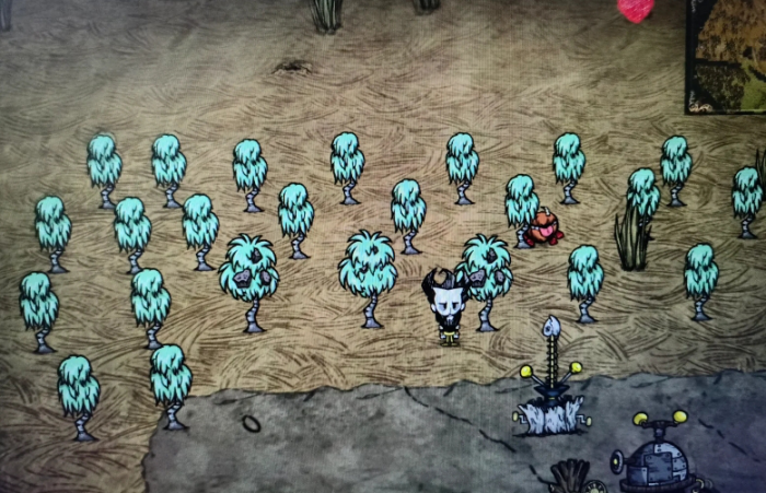 饥荒月岛海滩和浴场中有什么3