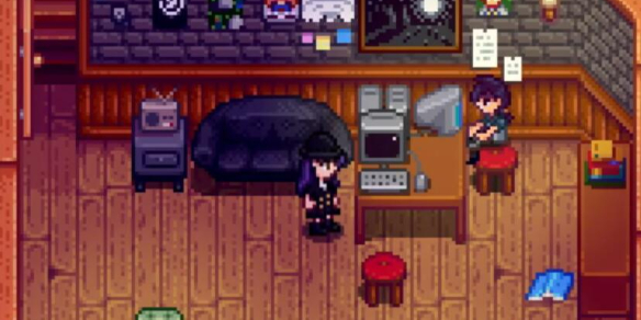 星露谷物语如何与塞巴斯结为伴侣1