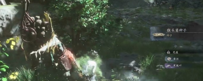 黑神话悟空猴头菌和白僵怎么获取1