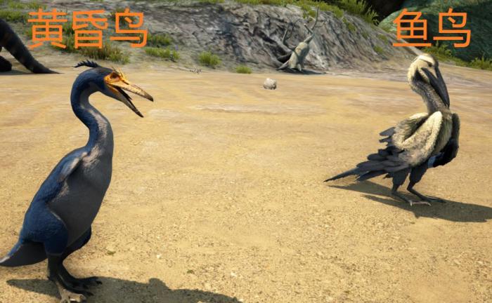 方舟生存进化黄昏鸟特性是什么1