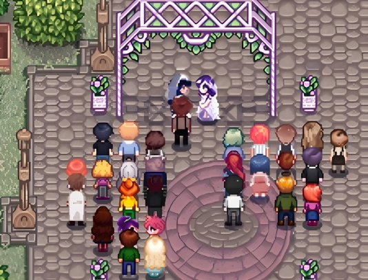 星露谷物语怎么和亚历克斯结婚2