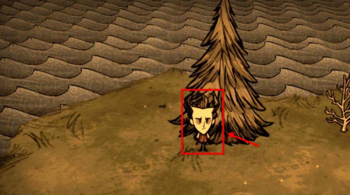 饥荒夏季应该干什么2