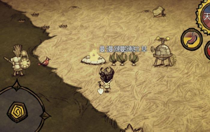 饥荒联机版曼德拉草有哪些特性1