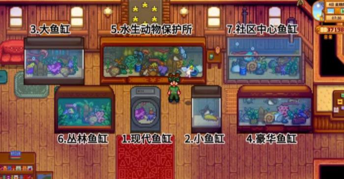 星露谷物语鱼缸有哪些2