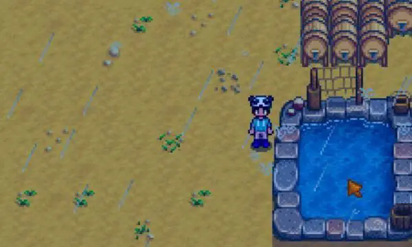 星露谷物语鱼塘的任务要如何完成1