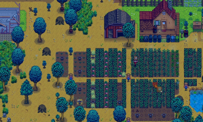 星露谷物语第一个夏天该干什么1