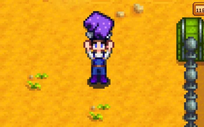 星露谷物语刘易斯的短裤在哪里1