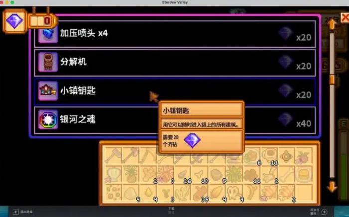 星露谷物语小镇钥匙怎么用3