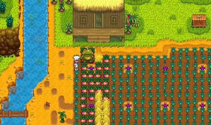 星露谷物语姜岛核桃怎么拿2