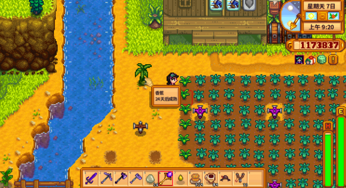 星露谷物语姜岛种植任务如何完成4