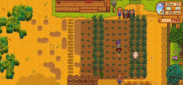 星露谷物语夏天能种什么3