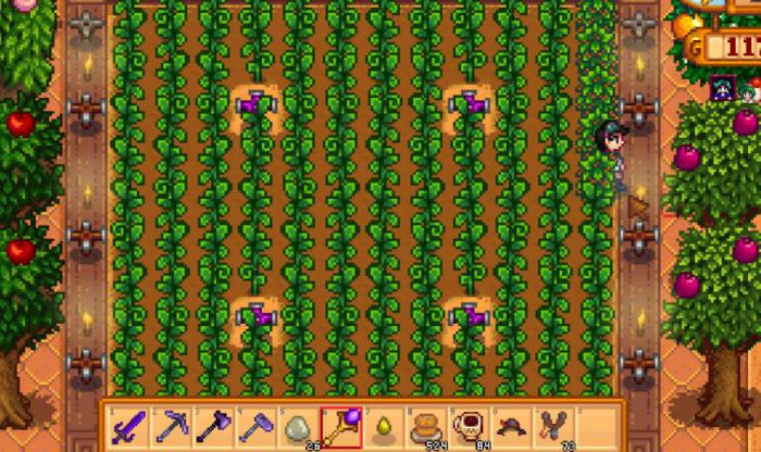 星露谷物语48个实用小技巧是什么1