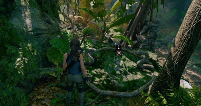 古墓丽影秘鲁从林怎么过1