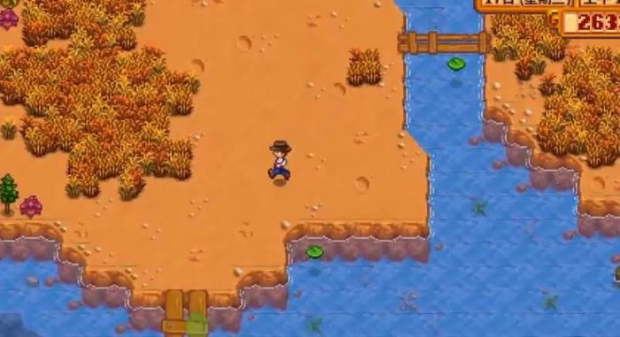 星露谷物语如何和海丽结婚3