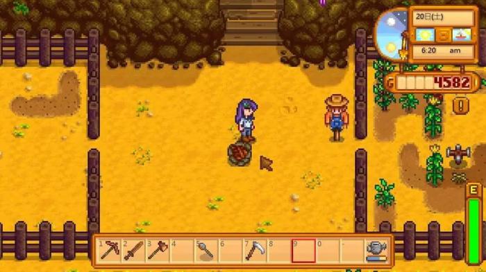 星露谷物语如何找回丢失的东西2