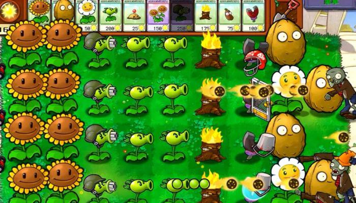 植物大战僵尸2第23天怎么过的3