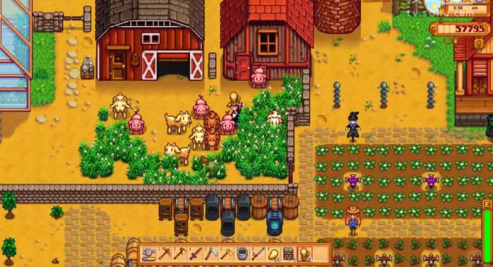 星露谷物语海丽怎么提高好感度2