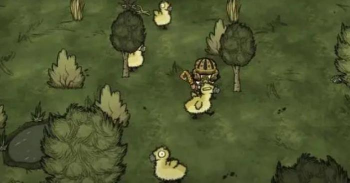 饥荒麋鹿鹅幼崽会有什么行为3