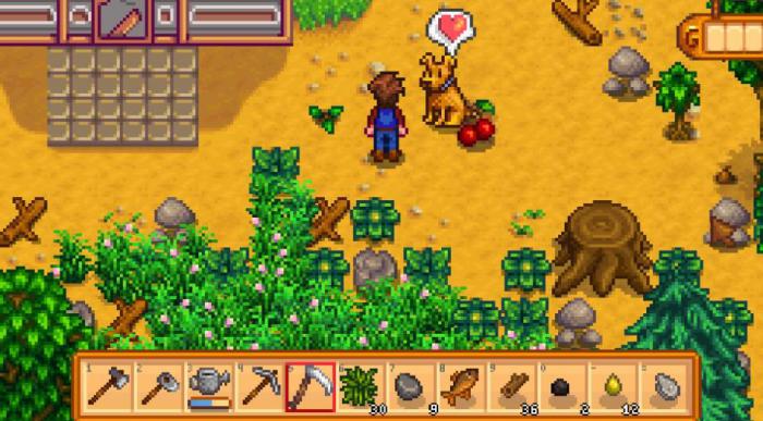 星露谷物语宠物怎么获得2