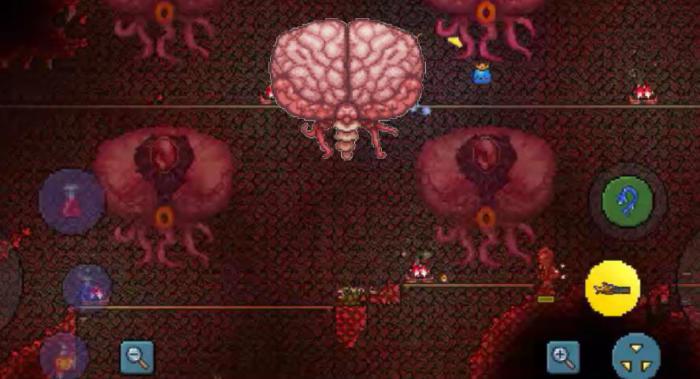 泰拉瑞亚boss顺序是什么3