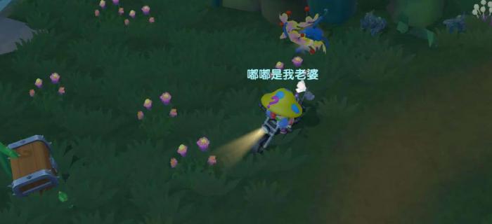 摩尔庄园黑森林攻略是什么1